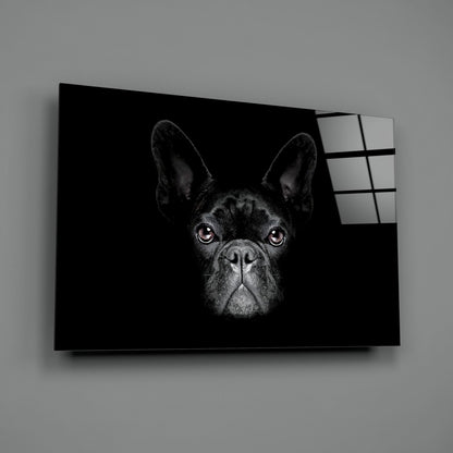 Mustan ranskanbulldogin muotokuva – lasiseinätaide