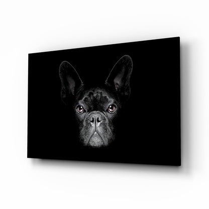 Mustan ranskanbulldogin muotokuva – lasiseinätaide