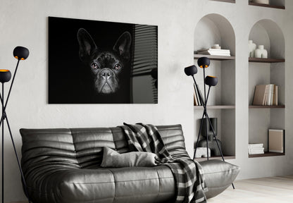 Mustan ranskanbulldogin muotokuva – lasiseinätaide
