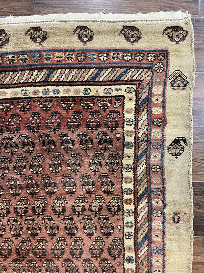 Antique Persian Sarab Runner Rug 3x11, Wool Camel Hair, Tribal Carpet for Hallway 3 x 11, Antique 1920s Rug, Handmade