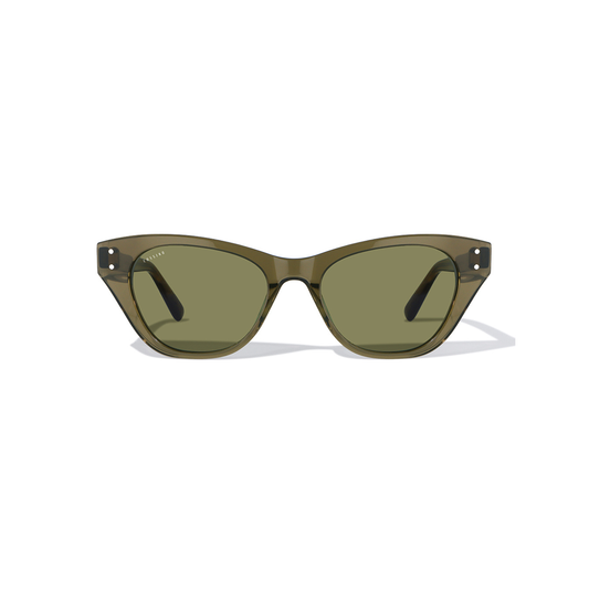 Belize Gato Acetate Sunglasses