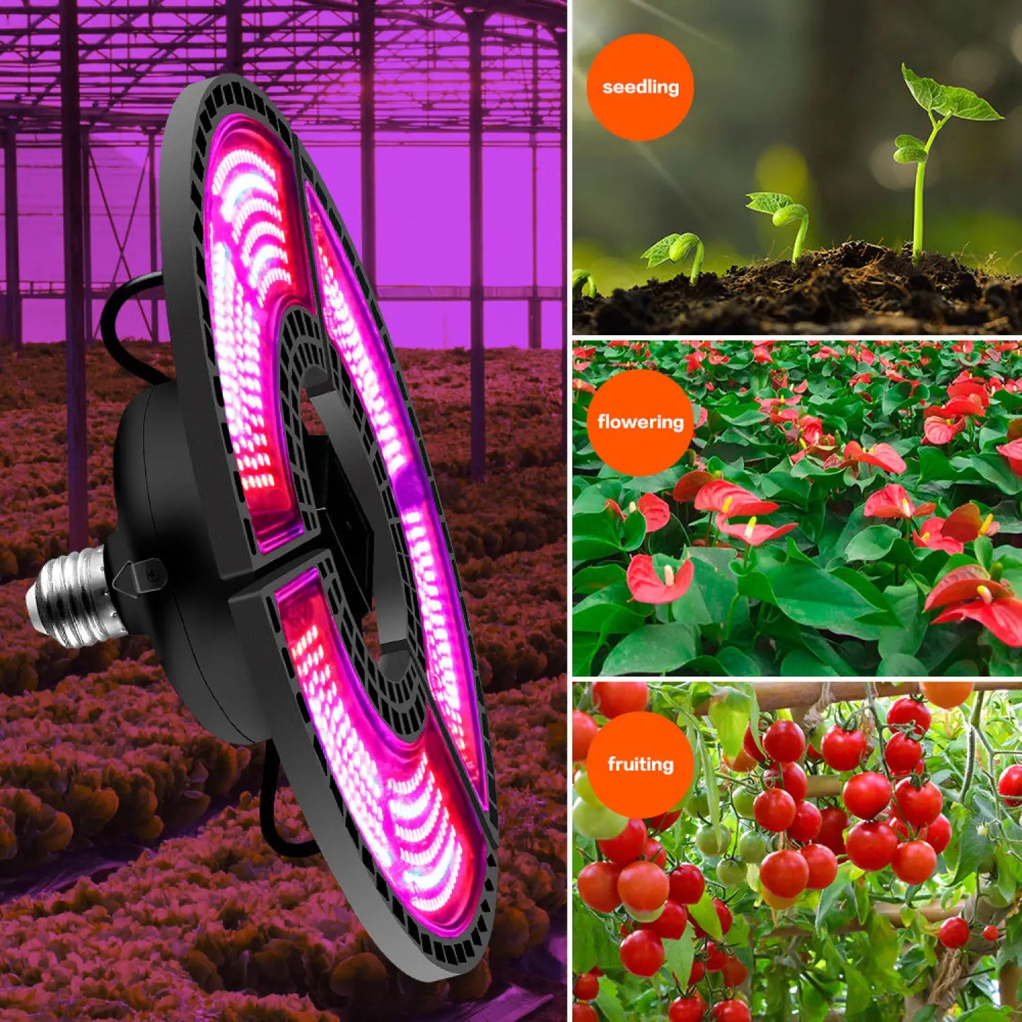 Lampada a LED per crescita con spettro rosso e blu per piante