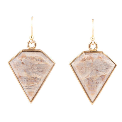 Lafayette Fossilized Coral Earrings