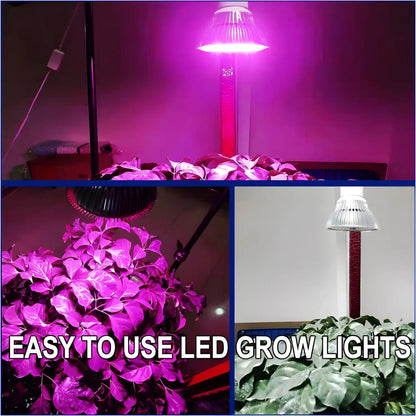 LED Fullspektrumljus för örter USB-driven