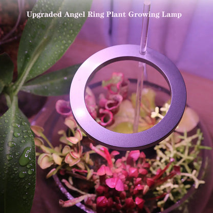LED växtlampa fullspektrum ängelring USB-lampa för inomhusväxter