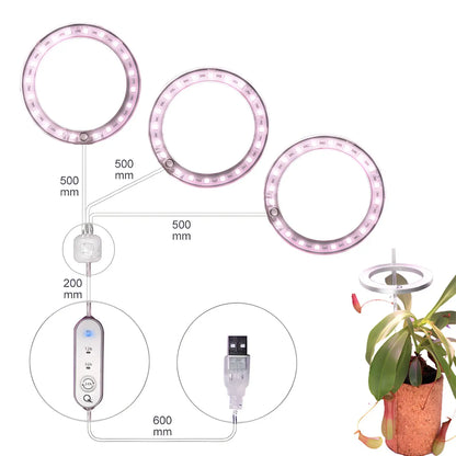 LED växtlampa fullspektrum ängelring USB-lampa för inomhusväxter