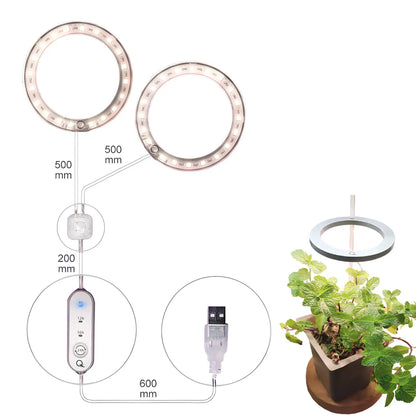LED växtlampa fullspektrum ängelring USB-lampa för inomhusväxter