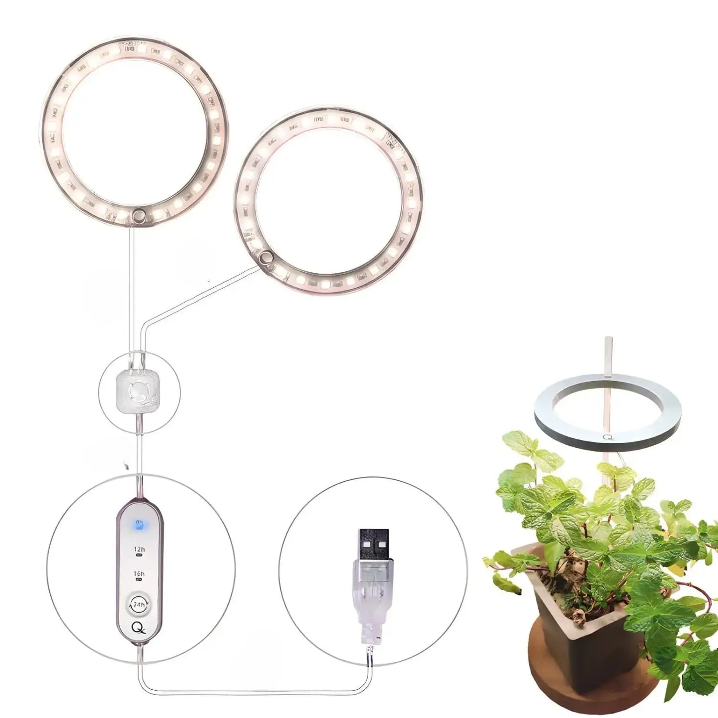 LED växtlampa fullspektrum ängelring USB-lampa för inomhusväxter