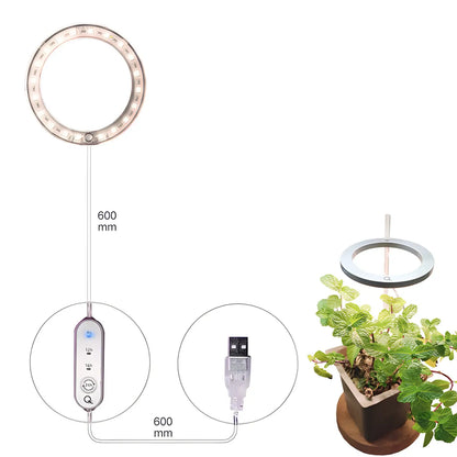 LED växtlampa fullspektrum ängelring USB-lampa för inomhusväxter