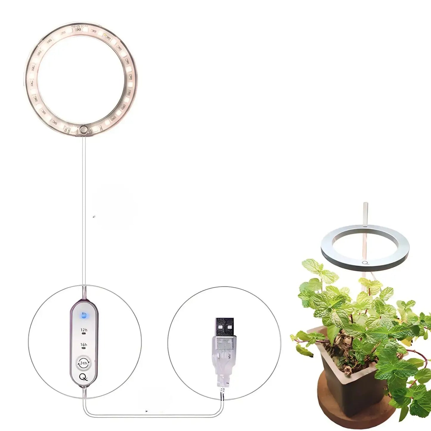 LED växtlampa fullspektrum ängelring USB-lampa för inomhusväxter