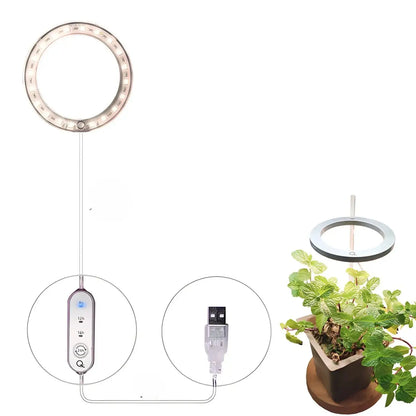 LED växtlampa fullspektrum ängelring USB-lampa för inomhusväxter