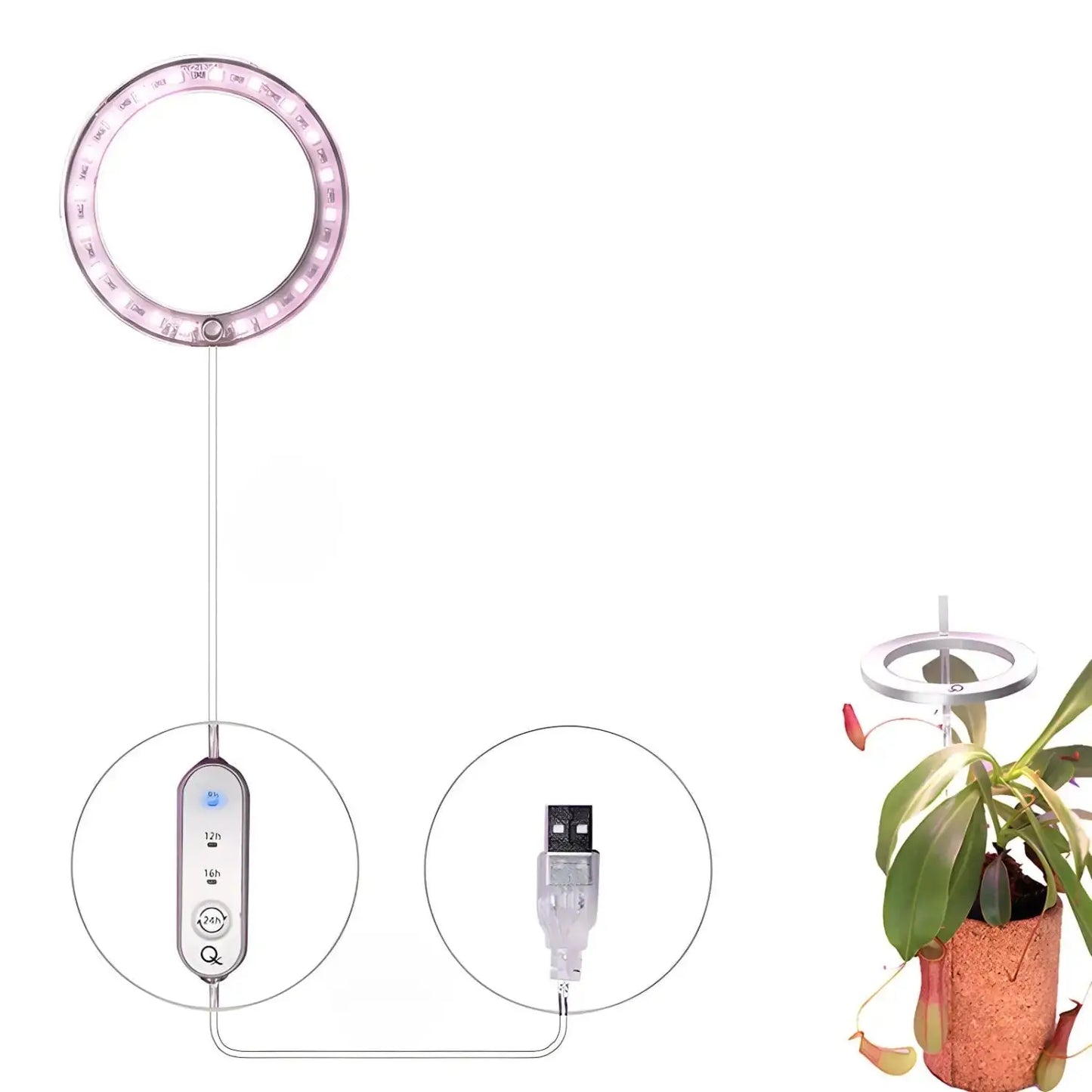LED växtlampa fullspektrum ängelring USB-lampa för inomhusväxter