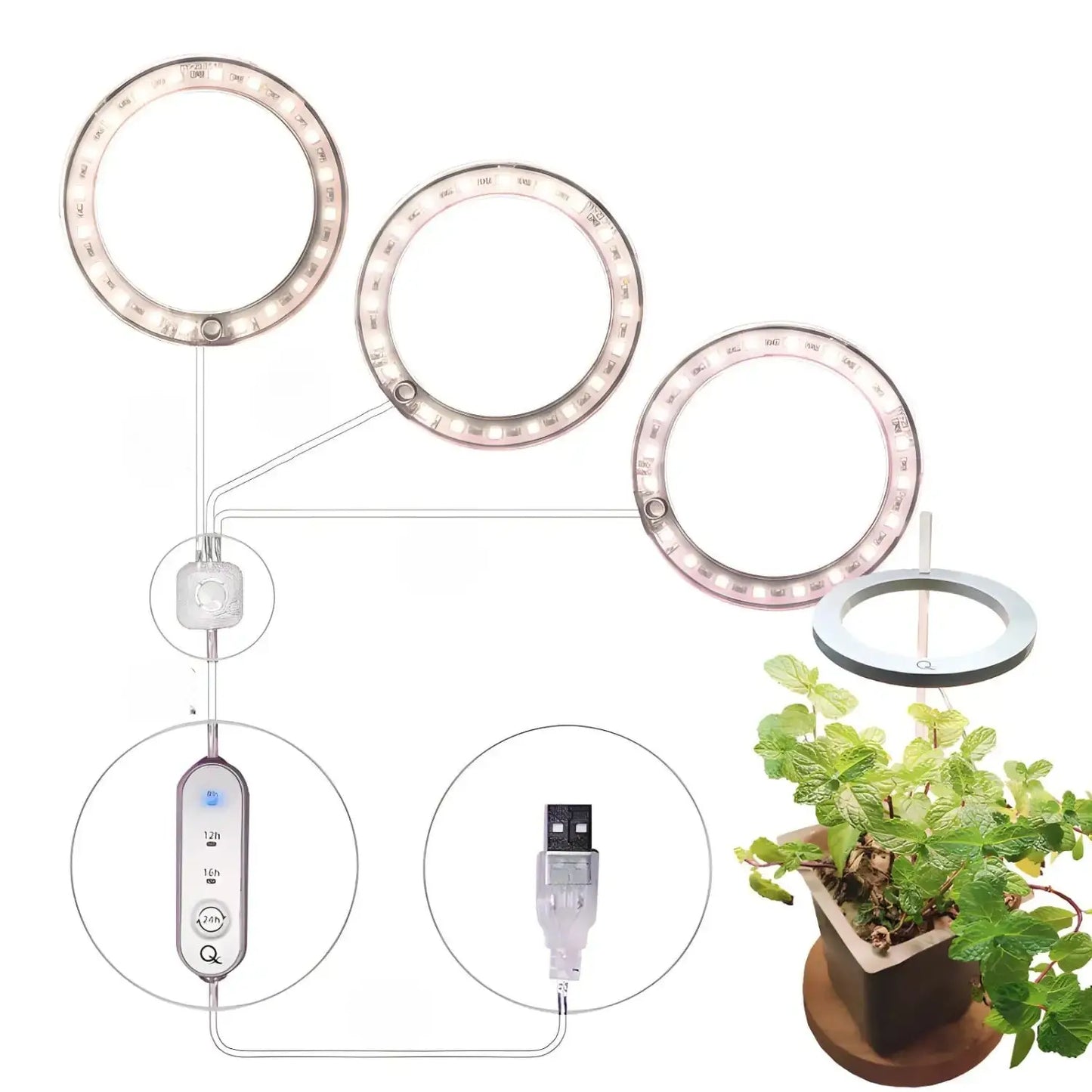 LED växtlampa fullspektrum ängelring USB-lampa för inomhusväxter