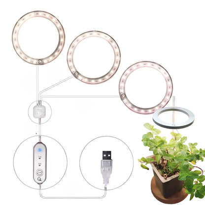 LED växtlampa fullspektrum ängelring USB-lampa för inomhusväxter