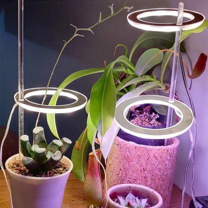 LED växtlampa fullspektrum ängelring USB-lampa för inomhusväxter