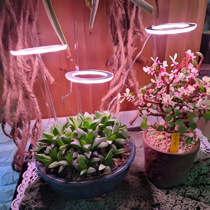 LED växtlampa fullspektrum ängelring USB-lampa för inomhusväxter