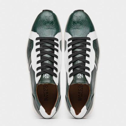 Lyon Green / White