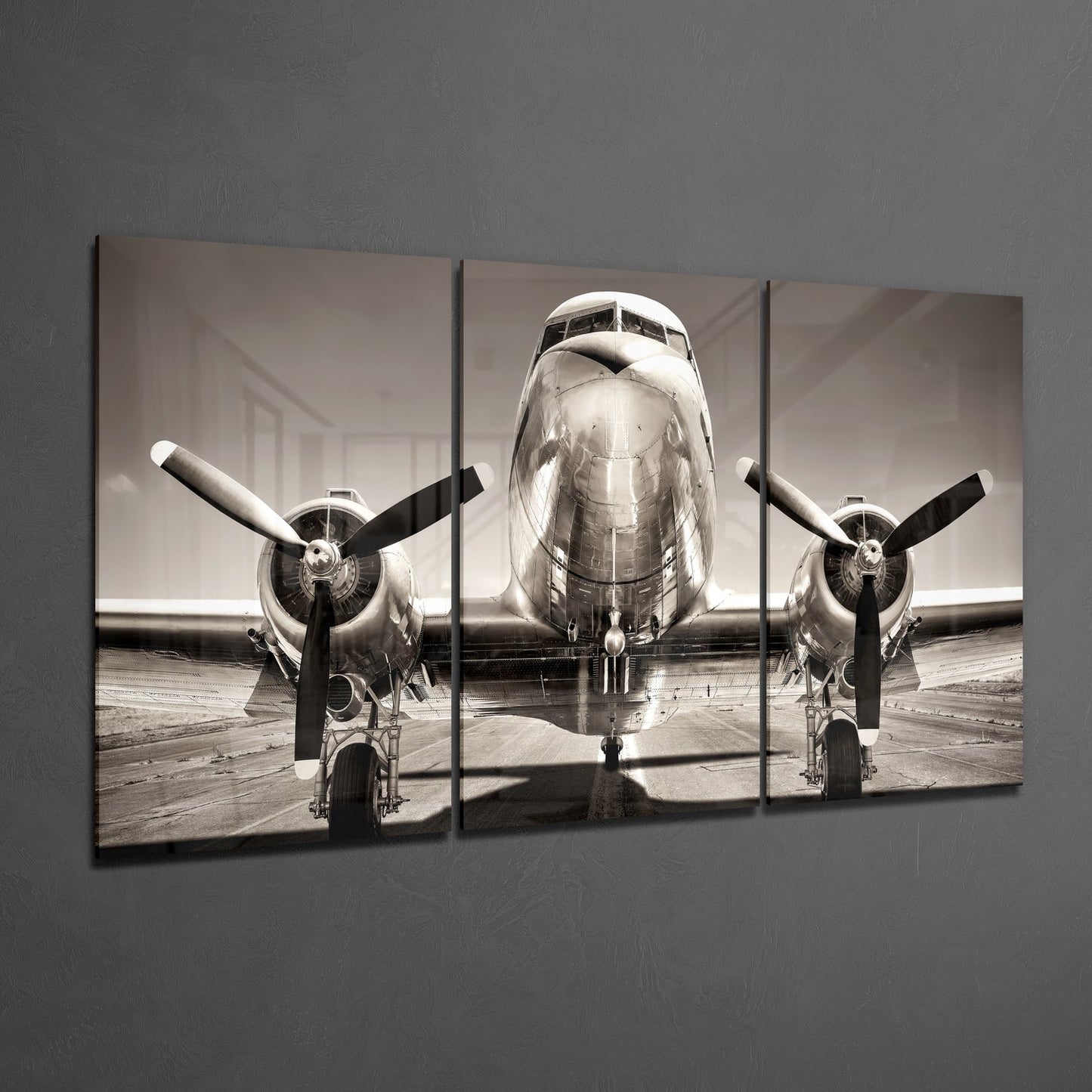 Plane Mega Glass Wall Art